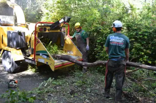 tree services Heritage Pines